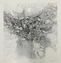 Load image into Gallery viewer, "Wrinkle 1 (Hikuri)" by Jacaeber Kastor