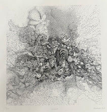 Load image into Gallery viewer, "Wrinkle 3 (Tickle)" by Jacaeber Kastor