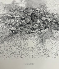 Load image into Gallery viewer, "Wrinkle 3 (Tickle)" by Jacaeber Kastor