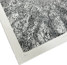 Load image into Gallery viewer, "Psychedelic Sun 4" by Jacaeber Kastor