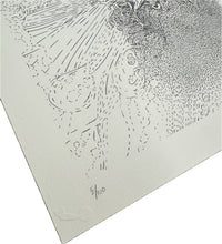 Load image into Gallery viewer, "Wrinkle 1 (Hikuri)" by Jacaeber Kastor