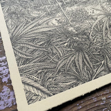 Load image into Gallery viewer, "Cultivate" by Justin Lovato