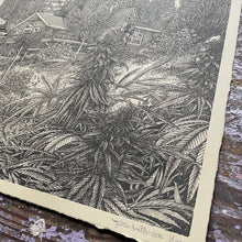 Load image into Gallery viewer, "Cultivate" by Justin Lovato