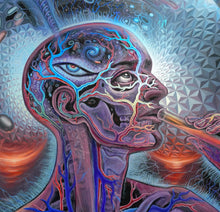 Load image into Gallery viewer, Alex Grey &amp; Mars-1 "Bicycle Day" Limited Edition Textured Foil Paper Print
