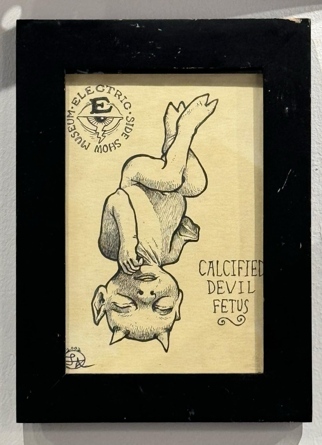 Calcified Devil Fetus Postcard