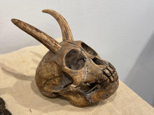 Load image into Gallery viewer, Lil Devil Skull 2
